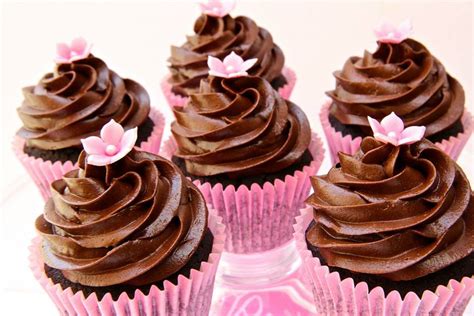 Cupcake Au Chocolat G Teaux D Lices