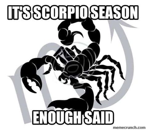 30 Best Scorpio Memes Astrology Special SayingImages