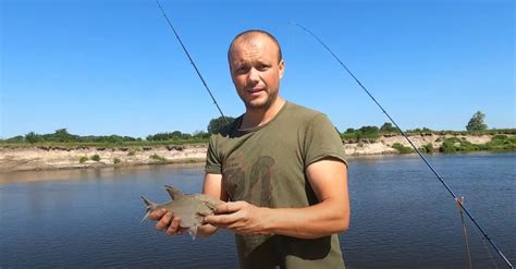 Рыба БЕЛУГА: фото, описание, размер, сколько живет, ареал, образ жизни