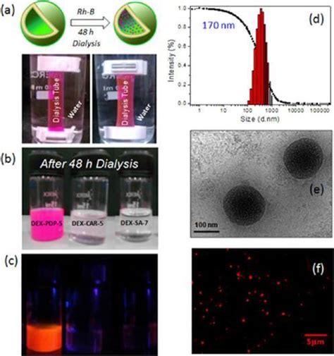 Schematic Representation Of The Encapsulation Of Rhodamine B In The Download Scientific Diagram