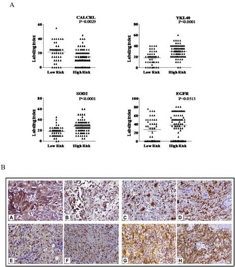 Immunohistochemical Analysis Of Selected Genes Immunohistochemical Download Scientific Diagram