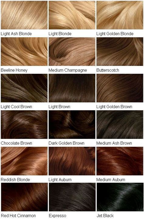 Light Golden Brown Hair Color Chart