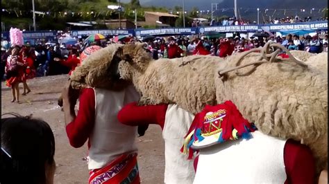 DANZA OVEJA CH UYAY CONCURSOS DE DANZA LUCRE 2019 YouTube