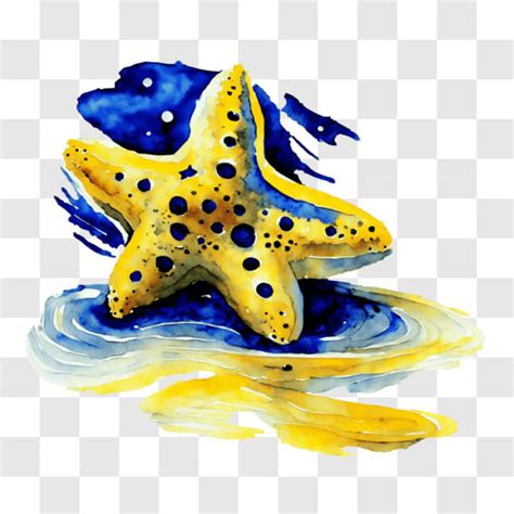 Download Colorful Starfish On The Shore Png Online Creative Fabrica