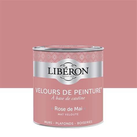 Velours De Peinture Couleur Rose De Mai Lib Ron