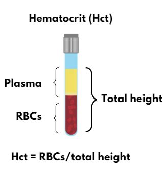 Hematocrit What Is It Importance And More Osmosis 56 OFF