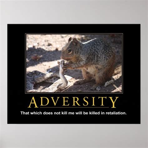 Demotivational Poster Adversity Poster