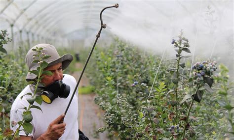 Opinión COP15 y reducción del uso de pesticidas