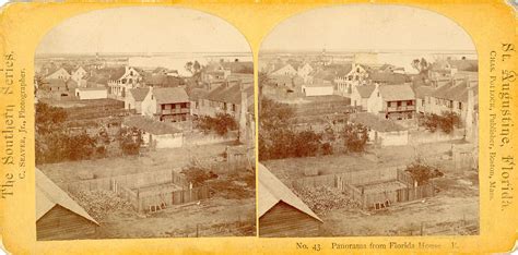 Lot Antique Real Photo Stereoview St Augustine Fl