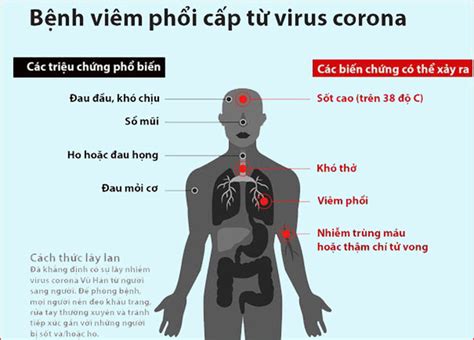 D U Hi U Nhi M Virus Corona L G Nh Ng I U B N C N Bi T V