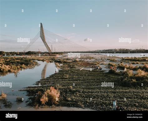 The Signature Bridge spanning the Yamuna river at the Wazirabad section ...