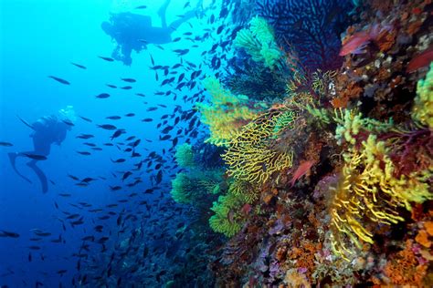 Diving In Croatia Padi