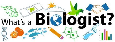 Jobs for Biology Graduates | Ask A Biologist