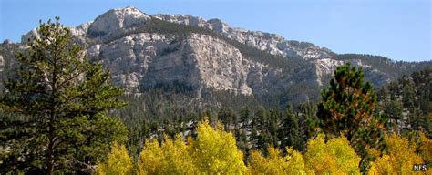 Humboldt Toiyabe National Forest The Sights And Sites Of America
