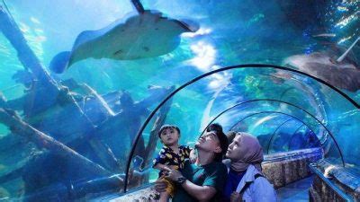 Seaworld Ancol Mediatani