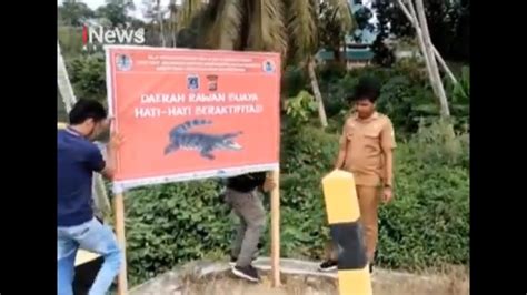 Bksda Sultra Pasang Papan Peringatan Waspada Serangan Buaya Pada