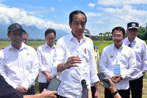 Jokowi Apresiasi Gebrakan Mentan Lakukan Percepatan Tanam Padi Di Sulteng