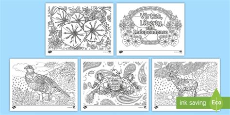 Pennsylvania State Symbols Mindfulness Coloring Sheets