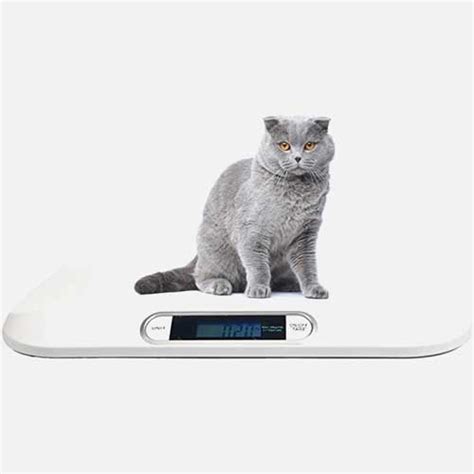 DIGITAL PORTABLE VETERINARY CAT SCALE Raynex Veterinary