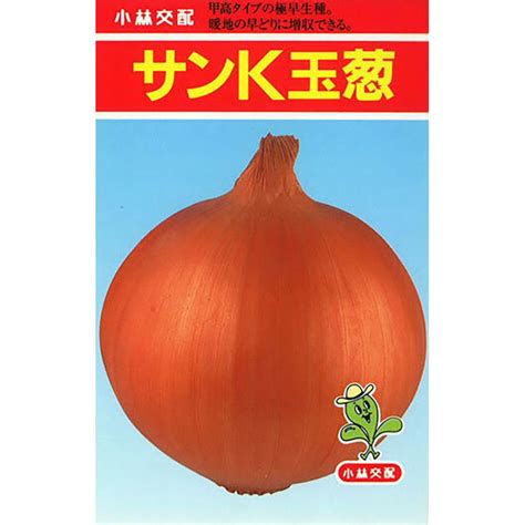 サンk 2dl 玉ねぎ たまねぎ 玉葱 タマネギ【小林種苗 種 たね タネ】【通常5倍 5のつく日はポイント10倍】 Kb0133全国種苗