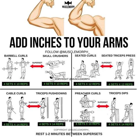 Add Inches To Your Arms With This Superset Workout 👆🏻like Save It If