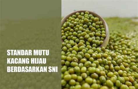 Standar Mutu Kacang Hijau Berdasarkan Sni Portal Artikel