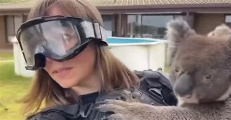 Journalist Gets Fooled By Australian Drop Bear Prank While Covering ...