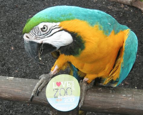 Love Your Zoo Week At Birdworld Hampshires Top Attractions