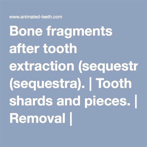 Bone Fragments After Tooth Extraction Sequestra Tooth Shards And