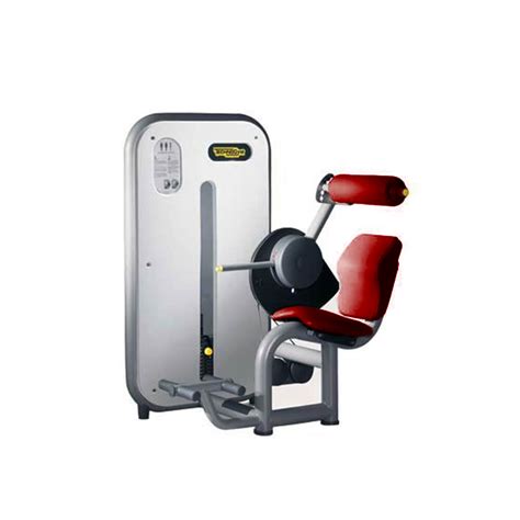 Technogym Element Lower Back Red Grays Fitness