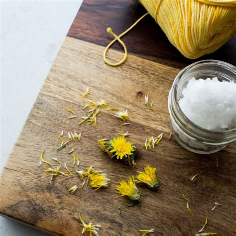 Dandelion Lotion Recipe Brome Fields Lotion Recipe Coconut Oil