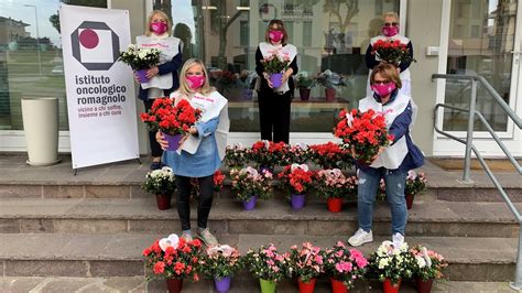 Le Azalee Di Romagna Per Aiutare Lo IOR Per La Festa Della Mamma