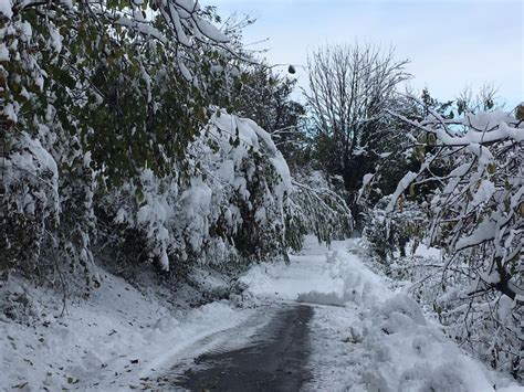 Allarme Maltempo Abbondanti Nevicate Previste Dalla Sera Di Domenica