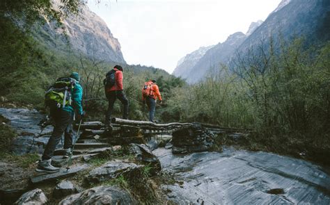 Intermediate+ Word of the Day: hike – WordReference Word of the Day