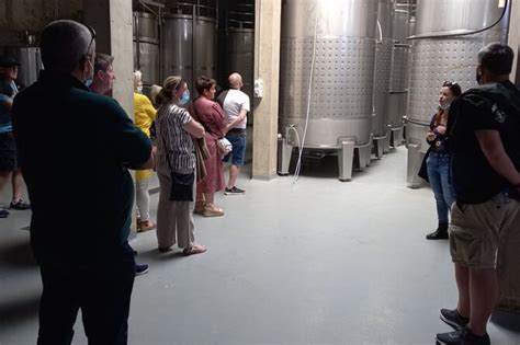 Albufeira Tour Delle Cantine Con Degustazione Di Vini E Tapas