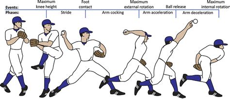 Frontiers Lower Body Energy Generation Absorption And Transfer In