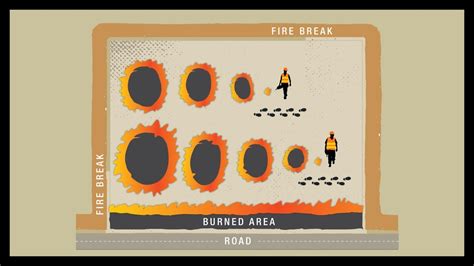 Prescribed Fire Ignition Techniques Point Source Fire Youtube