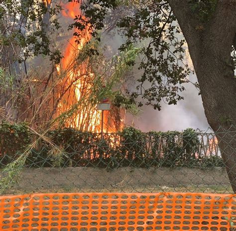 Incendio Pineta A Pescara Scagionato Il Sindaco Masci Abruzzo Speciale