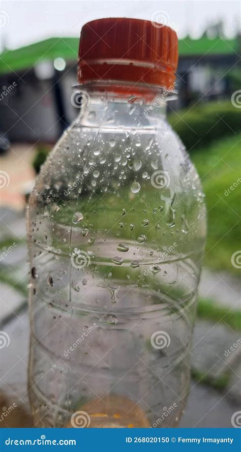 Patter of Rain in a Plastic Bottle Stock Photo - Image of nature, rain: 268020150