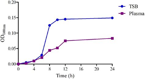 Frontiers Pk Pd Integration Modeling And Cutoff Value Of Florfenicol