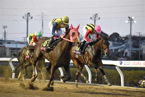 サーフズアップ（右）を捉えて桜花賞を制したメイドイットマム ― スポニチ Sponichi Annex ギャンブル