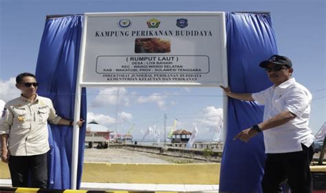 Kkp Dan Pemda Bangun Modelling Budidaya Rumput Laut Di Wakatobi