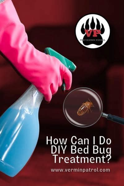 How Can I Do DIY Bed Bug Treatment? | Vermin Patrol