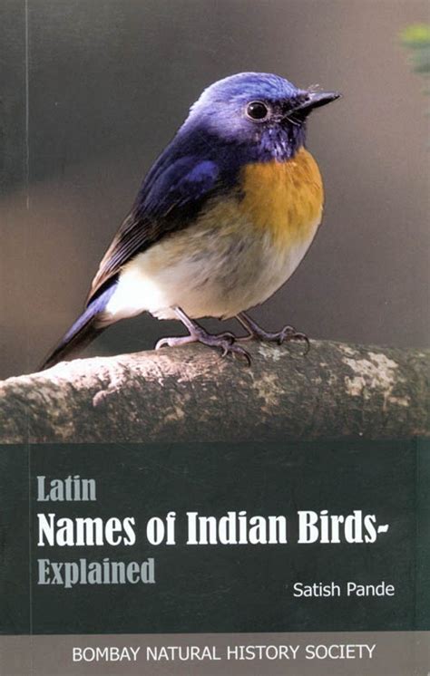 Indian Birds Pictures With Names