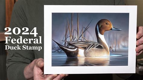 Federal Duck Stamp Contest 2025 Carly Crissie