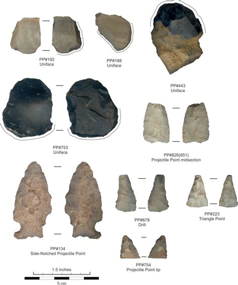 7 Images Of Unifaces Projectile Points And A Drill From Holder South