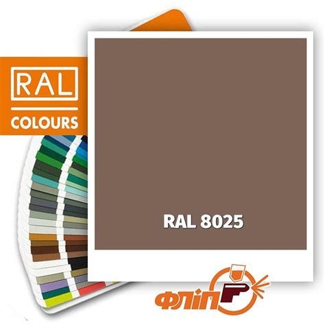 RAL 8025 | Купить краску RAL 8025 в Киев, Украина. Все цвета из таблицы ...