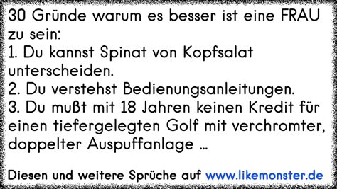 11 Gründe warum Segelfliegen besser als Sex ist 1 Ein Segelflugzeug kannst Du guten Gewissens