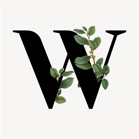 Botanical Capital Letter W Vector Premium Image By Rawpixel Aum