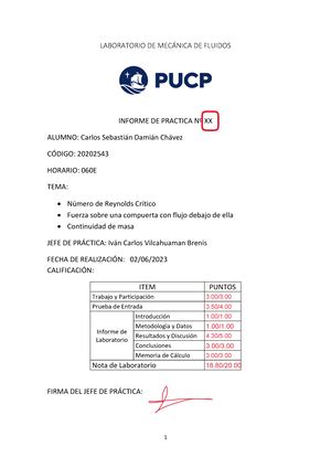 313496001 Informe HCA 3 LABORATORIO DE HIDRÁULICA DE CANALES ABIERTOS